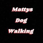 Profile Picture of Matthew mccolgan (@mattysdogwalking) on Instagram