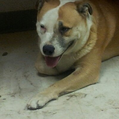 Profile Picture of Dan Vong C (@Dv24d) on Twitter