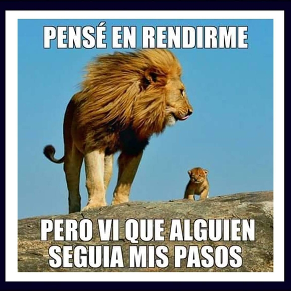 Profile Picture of Javier Robledo (@javierrobledo) on Poshmark