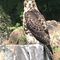 Profile Picture of William F Vogt (@william.f.vogt) on Facebook