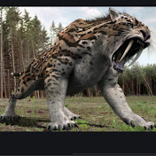 Profile Picture of Isaac Galarza (@isaacgalarza25) on Youtube