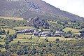 Profile Picture of Pelliceiraon Wikipedia