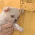 Profile Picture of Nancy (@luckyjran) on Instagram