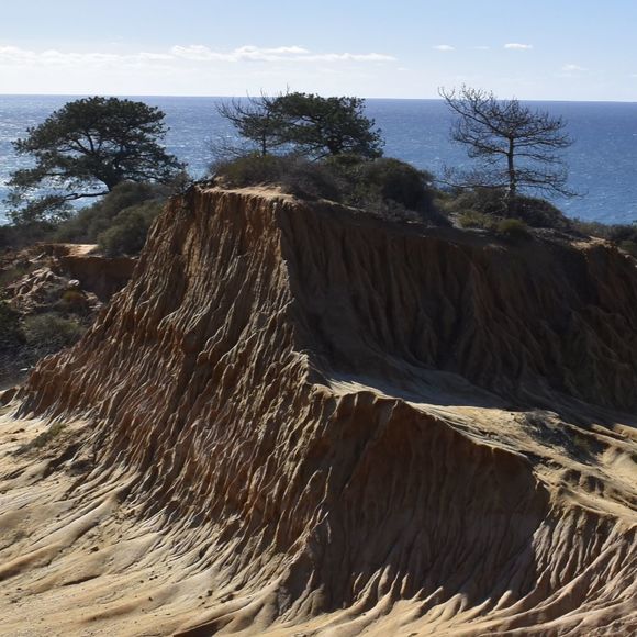 Profile Picture of Logan Pihl (@loganpihl) on Poshmark