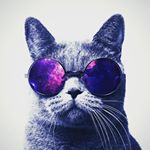 Profile Picture of Raymond Randall (@rrandall22) on Instagram