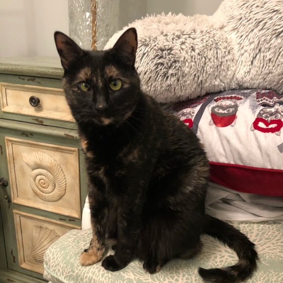 Profile Picture of Bridgette Gauslin (@brclarkrn) on Poshmark