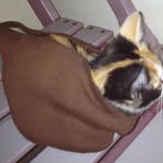 Profile Picture of Penelope Dacat (@penelope.dacat.9) on Facebook