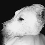 Profile Picture of Clay Harmon (@clay_harmon_18) on Instagram