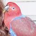 Profile Picture of Daniela Grunewald (@danielagrunewald) on Pinterest