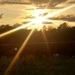 Profile Picture of Jillian Clements (@clements_jillian) on Instagram