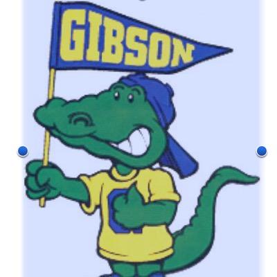 Profile Picture of Shannon Kehoe (@ViolaGibsonElem) on Twitter