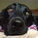 Profile Picture of Jackie 'Kearns' Paulson (@jaxh0le) on Pinterest