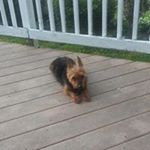 Profile Picture of Nancy Bowen (@nbowen263) on Instagram