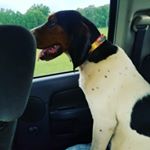 Jeremy Jarrard - Instagram Profile Picture of Jeremy Jarrard (@double_j4400) on Instagram