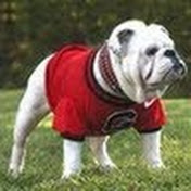 Profile Picture of Chris Yates (@chrisyates3446) on Youtube