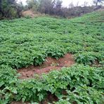 Profile Picture of Felix Zapata (@Felix-Zapata) on Facebook