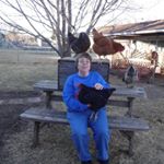 Profile Picture of Michele Hays (@michelehays) on Instagram