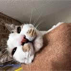 Profile Picture of Brendan Aitken (@Brendan-Aitken) on Facebook