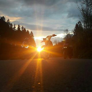 Profile Picture of Nicolas Krause (@Nicolas-Krause) on Facebook