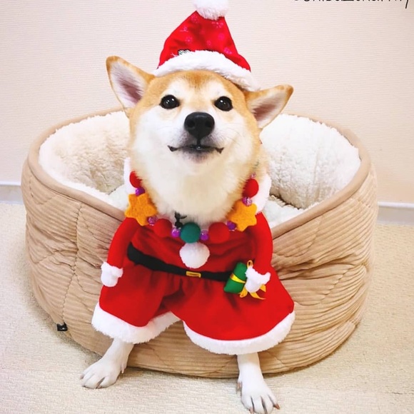 Profile Picture of Shana Mahilo (@smahilo) on Poshmark