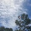 Profile Picture of Shelley Coe (@@thx55misspradi) on Tiktok