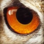 Andrew - Instagram Profile Picture of Andrew (@andrew._.buchan) on Instagram