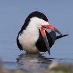 Profile Picture of Michael Lello (@deanfodvoz6384) on Instagram