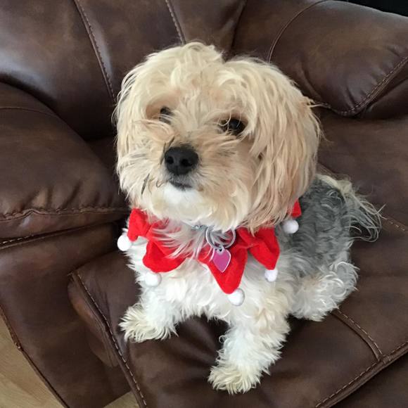 Profile Picture of Raymonde Côté (@raymondecf) on Poshmark