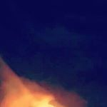 Profile Picture of Andrew McNeal (@mcneal_a) on Instagram