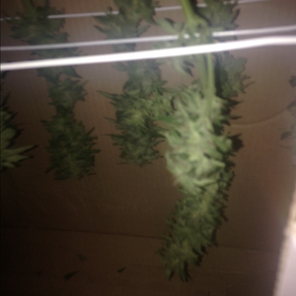 Profile Picture of Danny Jett (@summer1469) on Poshmark