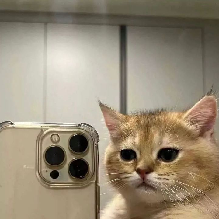 Profile Picture of aaron (@aaron.calica) on Tiktok