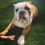 Profile Picture of • David Cullingford • (@davidc2409) on Instagram