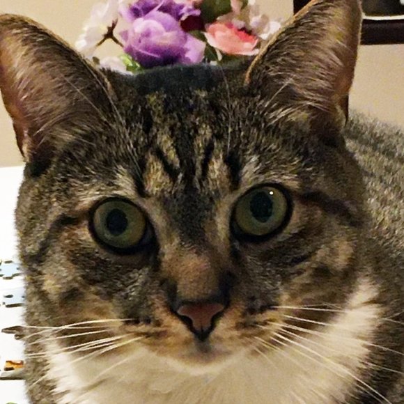 Profile Picture of Barbara Hitzel (@jobaclay) on Poshmark