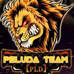 Profile Picture of Peluda Team (@peluda_team) on Instagram