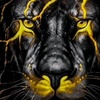Profile Picture of Sheikh Saleh (@sheikhsaleh4) on Tiktok