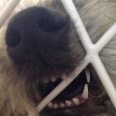 Profile Picture of Laura Schneider (@LauraElswick) on Twitter