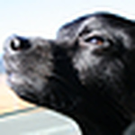 Profile Picture of pixxels (@pixxels) on Flickr
