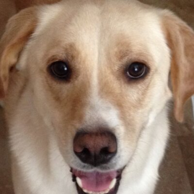 Profile Picture of Gary Shuford (@gary_shuford) on Twitter