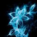 Profile Picture of Joshua Niemand (@joshua.niemand.946) on Facebook
