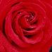 Profile Picture of Lucille McKay (@lucille.mckay.58) on Facebook