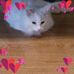 Profile Picture of Pam Patterson (@pam.patterson.351) on Facebook