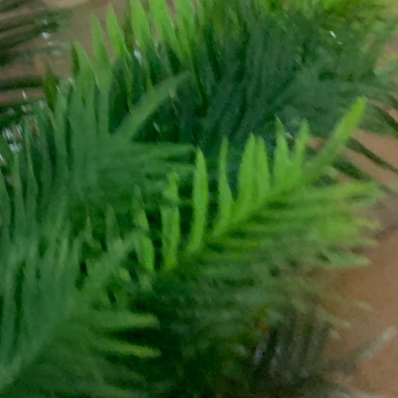 Profile Picture of Asha Backster (@ashback795) on Poshmark