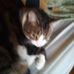 Profile Picture of Daniel Carmichael (@daniel.carmichael.965) on Facebook