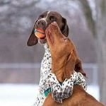 Profile Picture of Giuseppe Chirco (@chirco.giuseppe) on Instagram