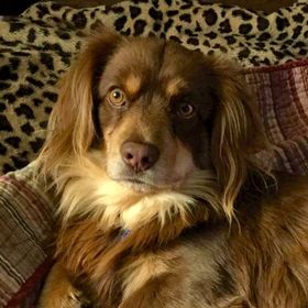 Profile Picture of Janet Greene (@janetgreene1973) on Pinterest