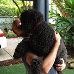 Profile Picture of Simon Kaye (@simonckaye) on Instagram