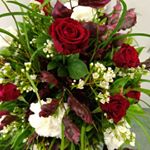 Profile Picture of Freya Skye (@f_flor_s_flora) on Instagram