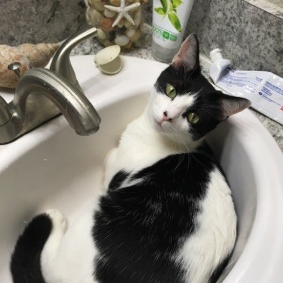 Profile Picture of Spc Conrod (@spcconrod) on Poshmark