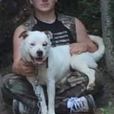 Profile Picture of Austin Mullis (@Austinmullis6) on Twitter