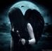 Profile Picture of Piper Starnight (@Piper-Starnight) on Facebook
